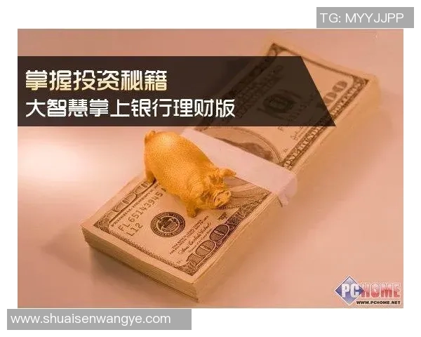 足球明星理财秘籍揭秘如何让财富增值与风险管理并重